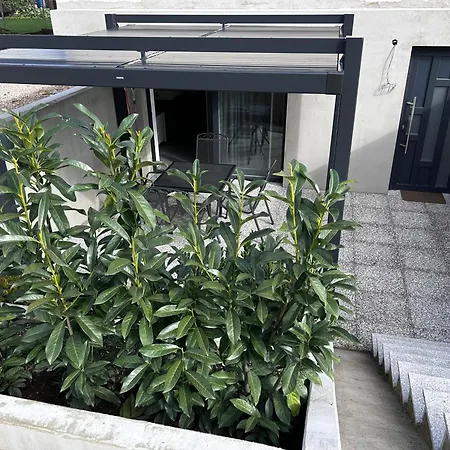 Angelina Cerklje na Gorenjskem