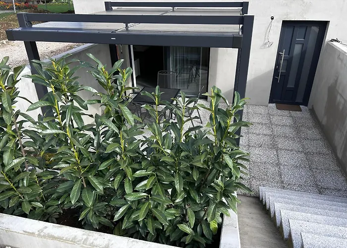 Angelina 戈雷尼斯卡地区采尔克列